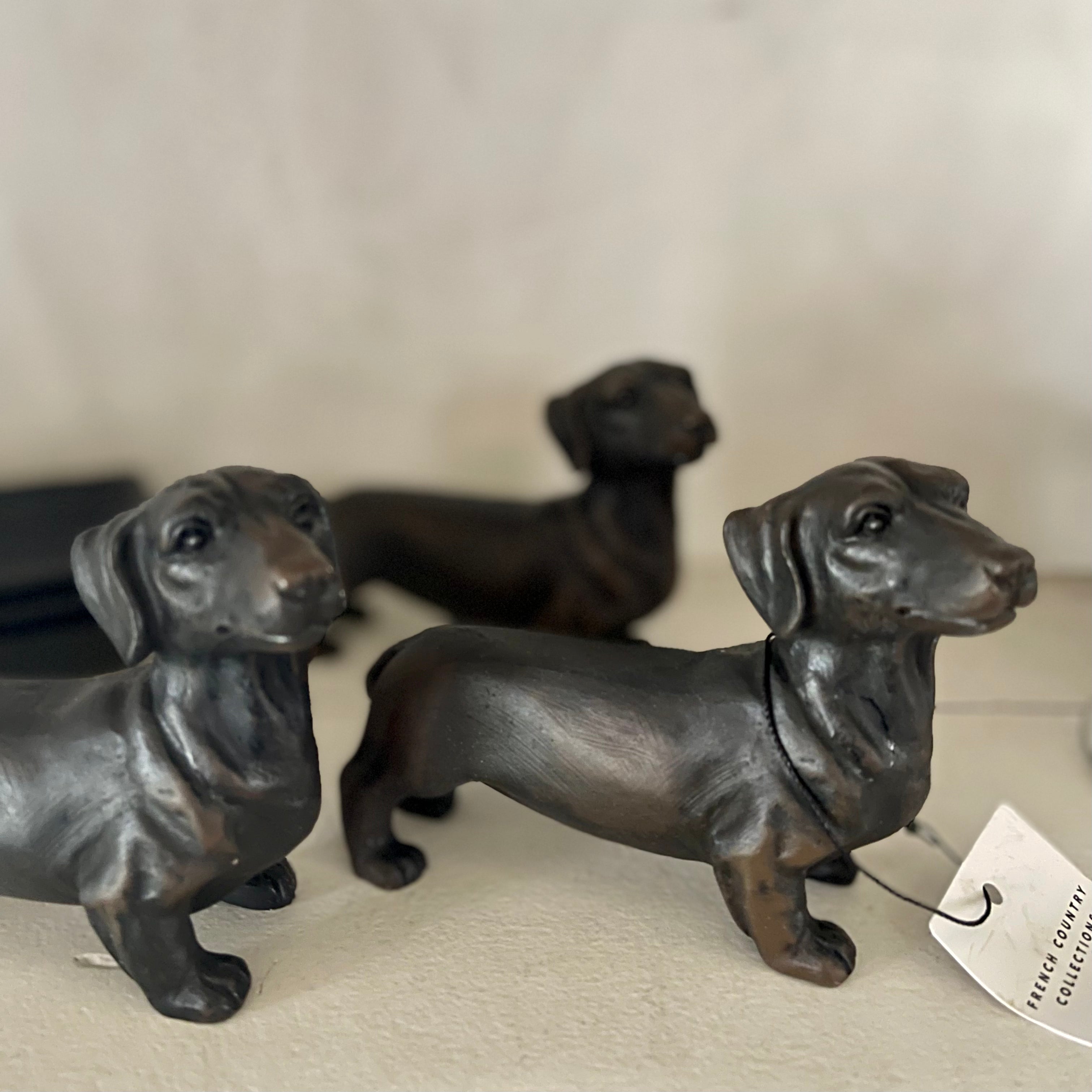 French Country Dachshunds