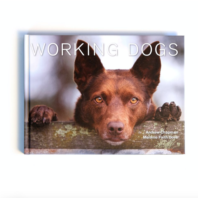 Working_Dogs_Rupanyup_Living_book