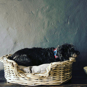 Large Dog Basket
